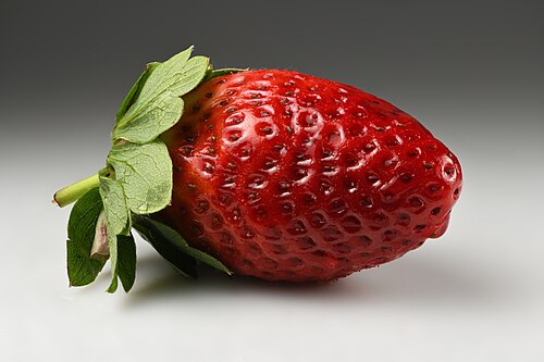 Garden Strawberry reference