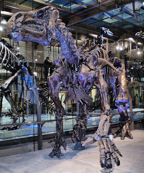 Iguanodon reference