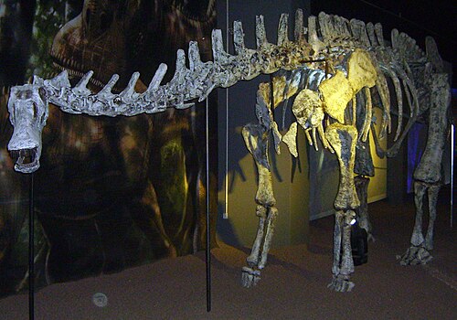 Limaysaurus reference