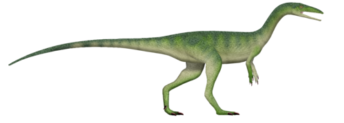 Megapnosaurus reference