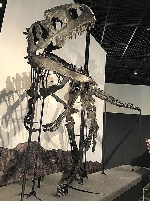Neovenator reference