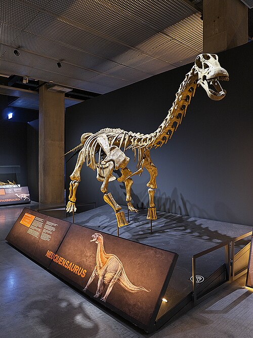 Neuquensaurus reference
