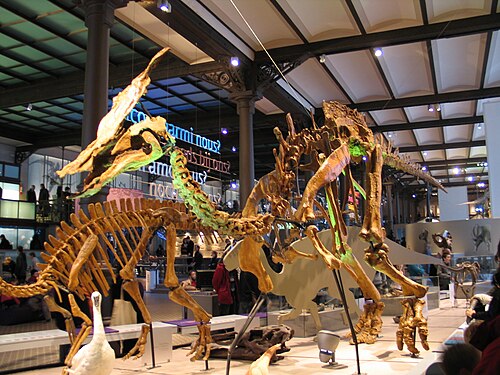 Olorotitan reference