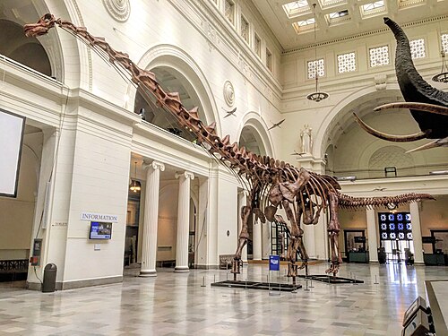 Patagotitan reference