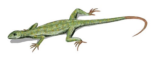 Kansan Diapsid reference