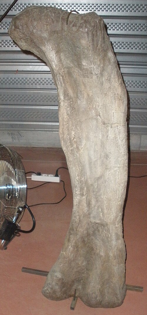Phuwiangosaurus reference