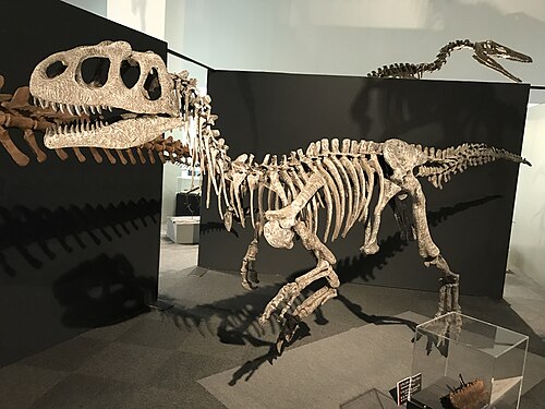 Piatnitzkysaurus reference