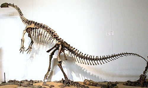 Plateosaurus reference