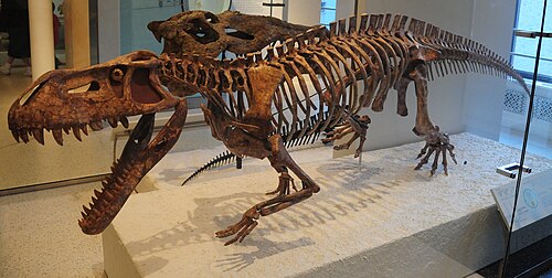 Prestosuchus reference
