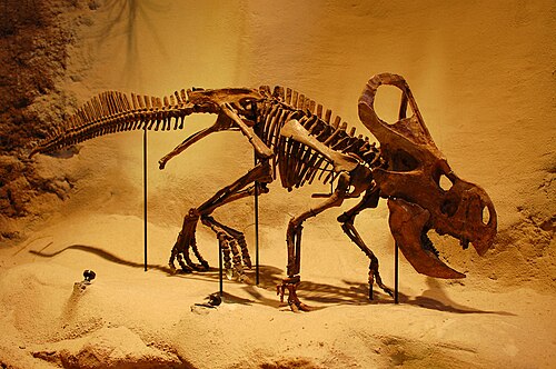 Protoceratops reference