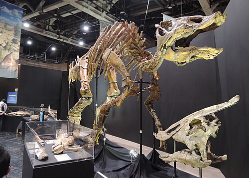 Saurolophus reference