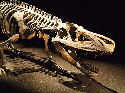 Saurosuchus reference