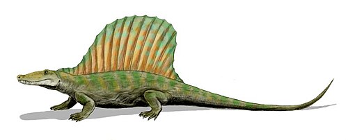 Secodontosaurus reference