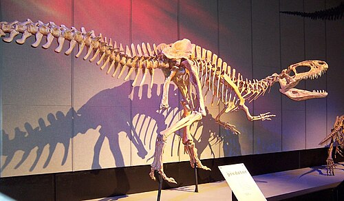 Sinraptor reference