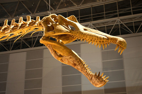 Spinosaurus reference
