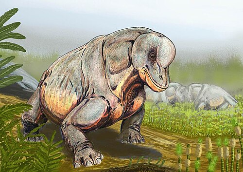 Tapinocephalus reference