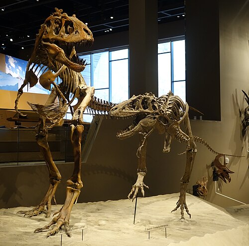 Teratophoneus reference
