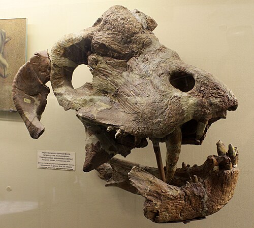 Titanophoneus reference