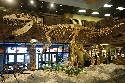 Torvosaurus reference