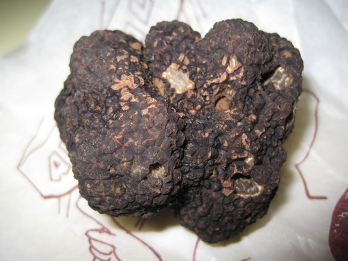 Black Truffle reference