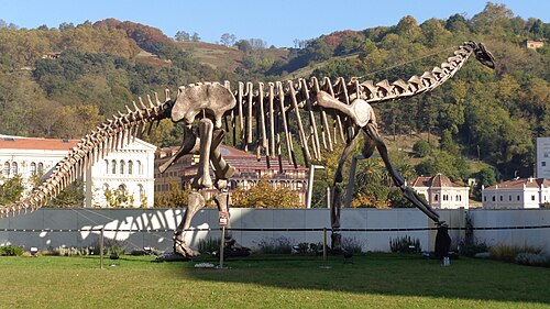 Turiasaurus reference