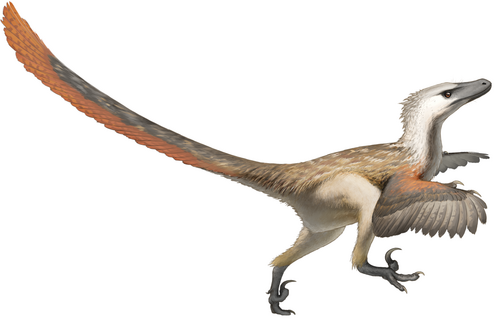 Velociraptor reference
