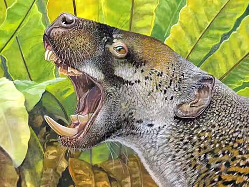 Riversleigh Marsupial Lion reference