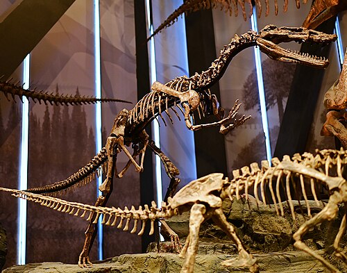 Xiongguanlong reference