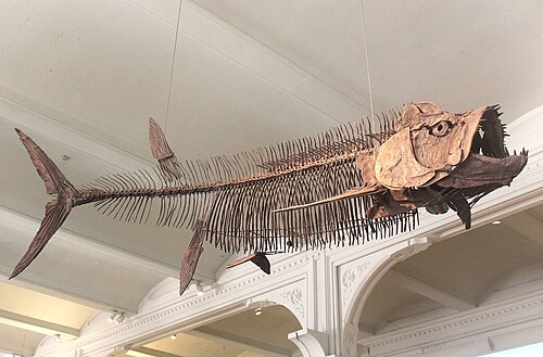 Bulldog Fish reference