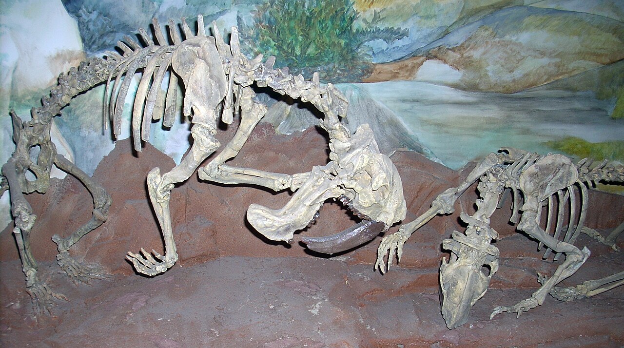 Thylacosmilus atrox reference