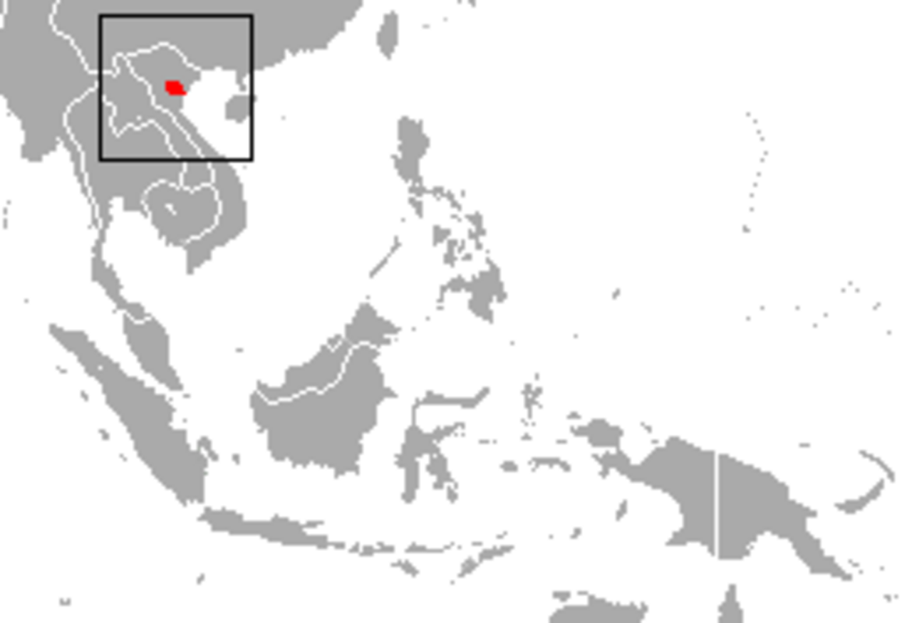 Delacour's Langur reference