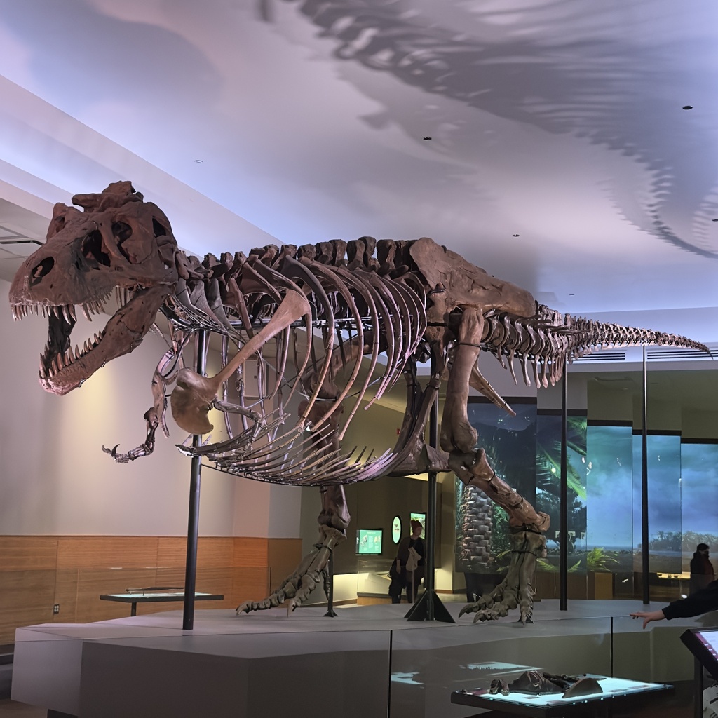 Tyrannosaurus rex reference