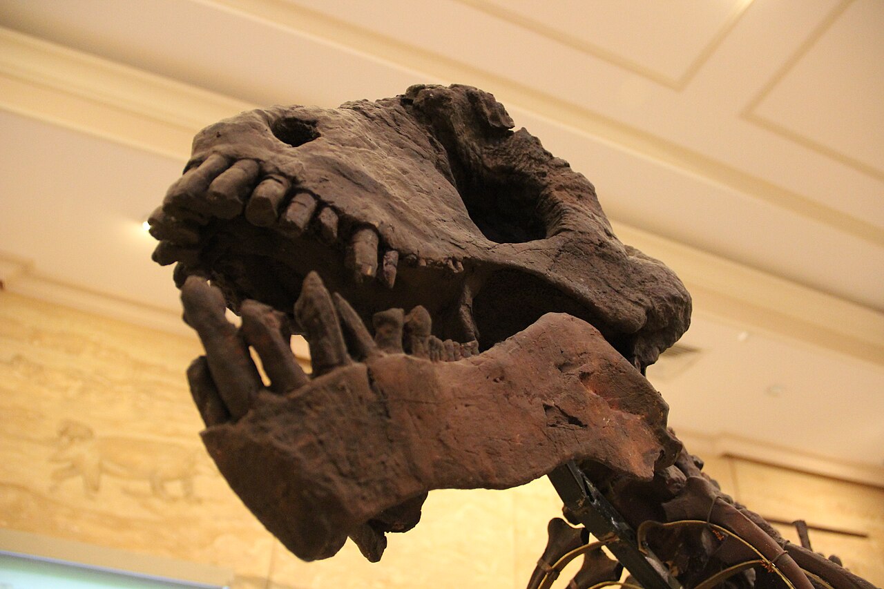 Ulemosaurus svijagensis reference