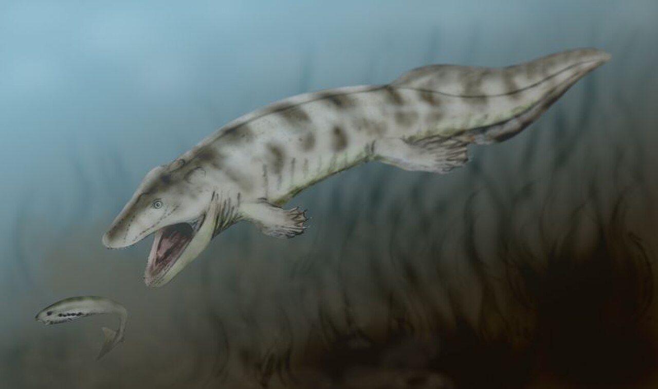 Ventastega curonica reference