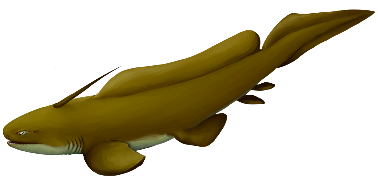 Xenacanthus decheni reference