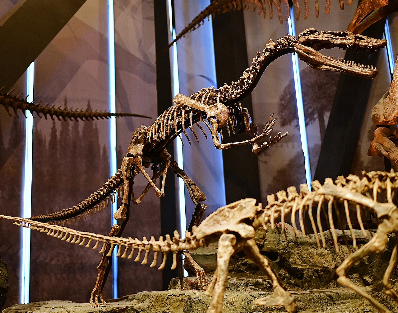 Xiongguanlong baimoensis reference
