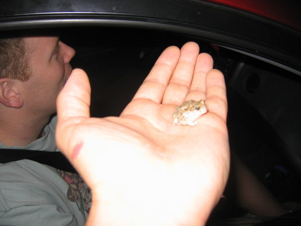 Western Spadefoot reference