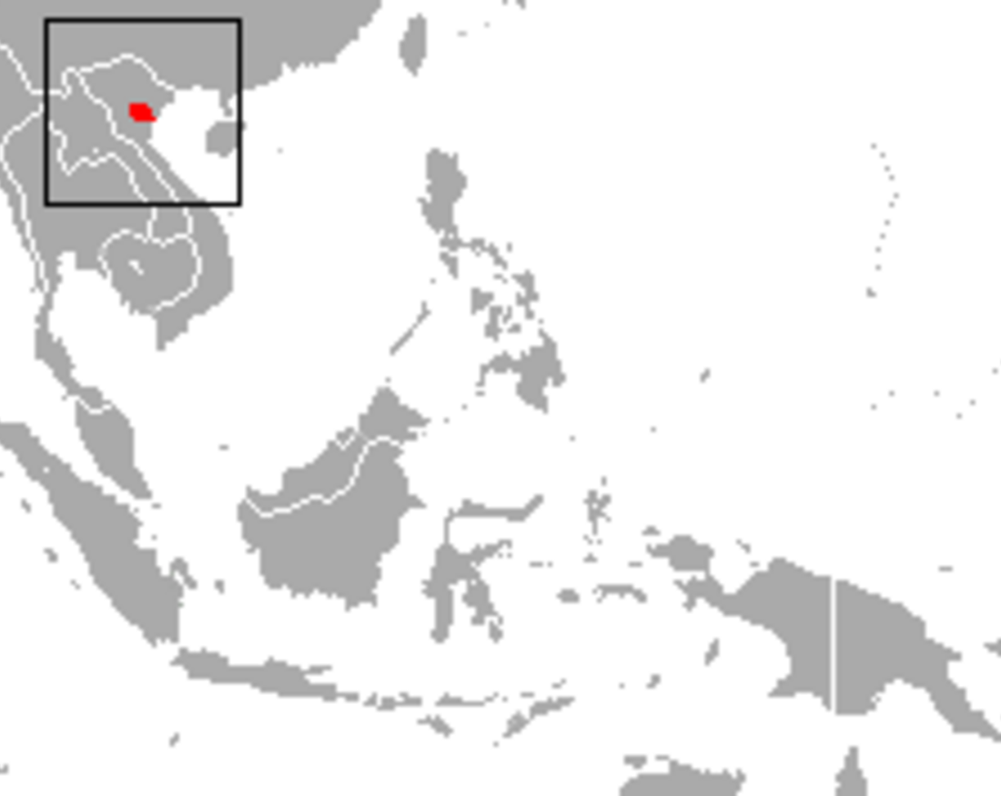 Delacour's Langur reference